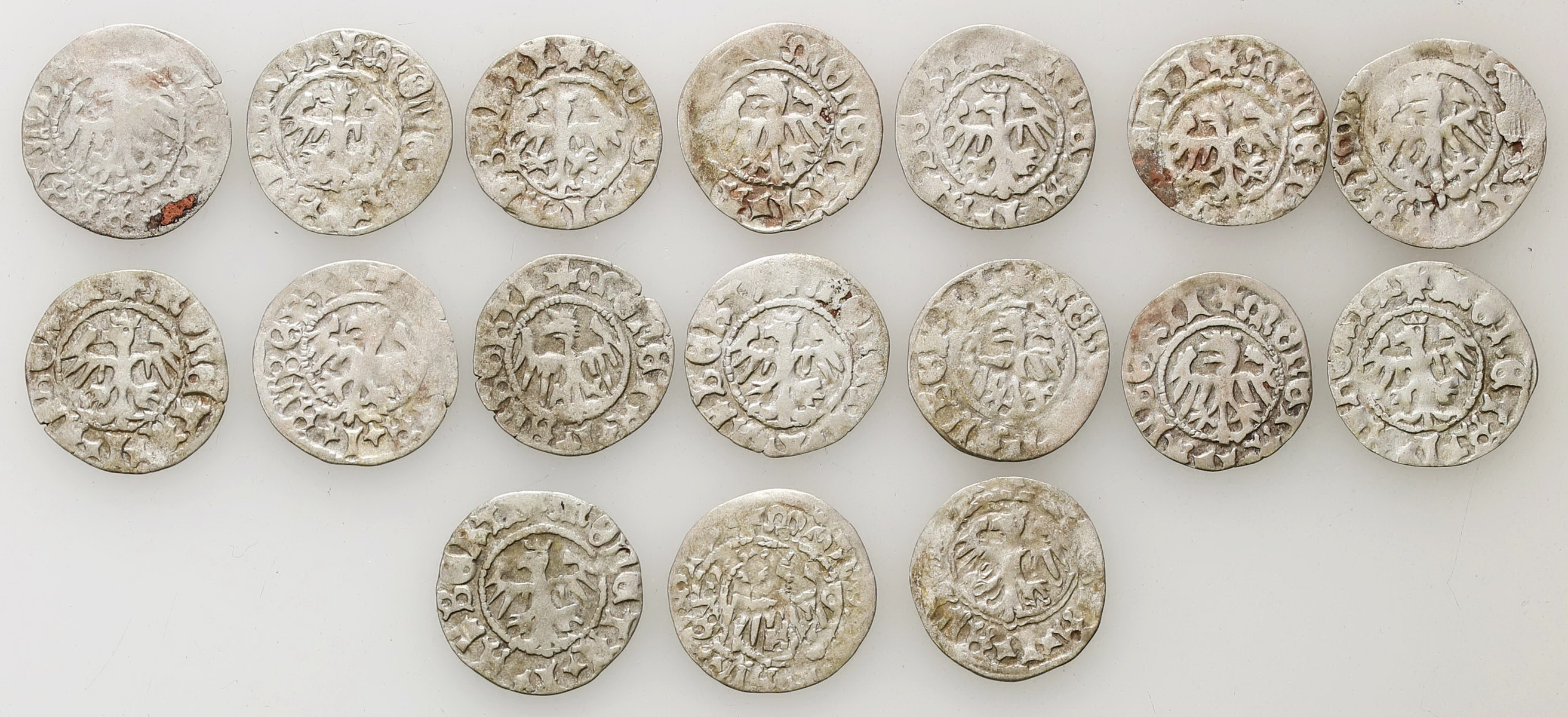 Jan I Olbracht (1492–1501). Półgrosz, zestaw 17 sztuk